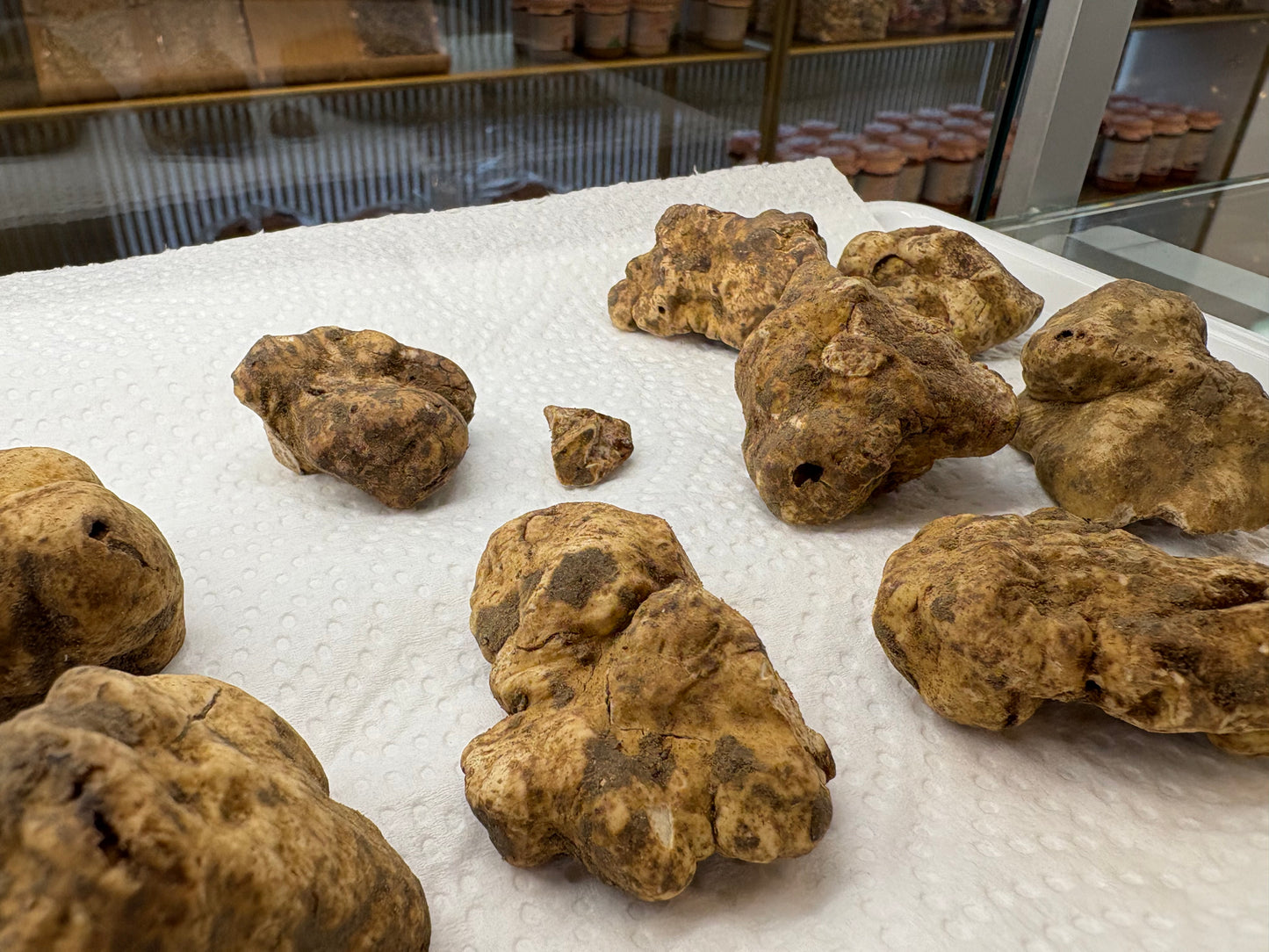 Truffe Blanche Magnum Pico Alba