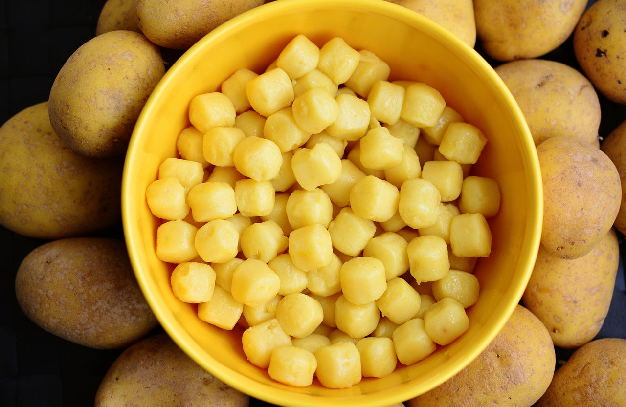 Gnocchi gefüllt mit Bolognese